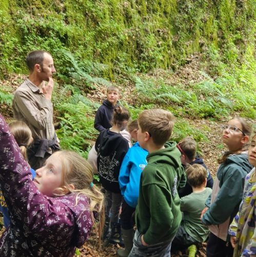 Year 6 at Hakeford woods